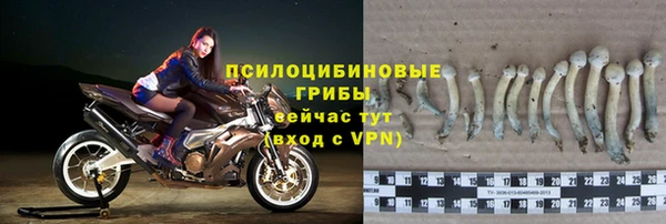 дмт Бронницы
