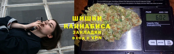 крисы Бугульма