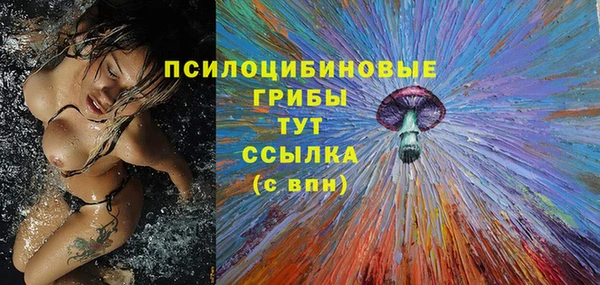 дмт Бронницы