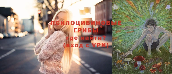 дурь Богородск