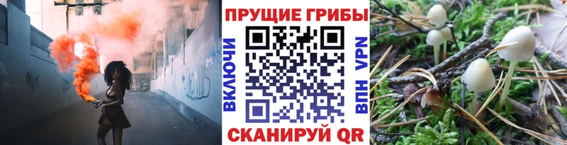 где продают   Володарск  Галлюциногенные грибы мицелий 
