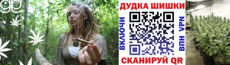где купить наркоту  Володарск  Бошки Шишки MAZAR 